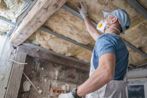 Best Energy Efficiency Solutions in Live Oak, CA