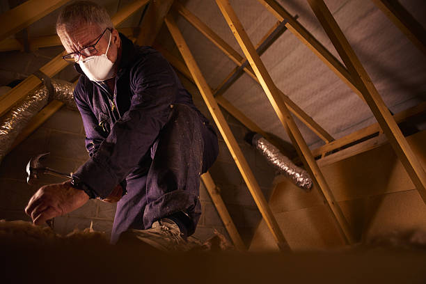 Best Energy Efficiency Solutions in Live Oak, CA
